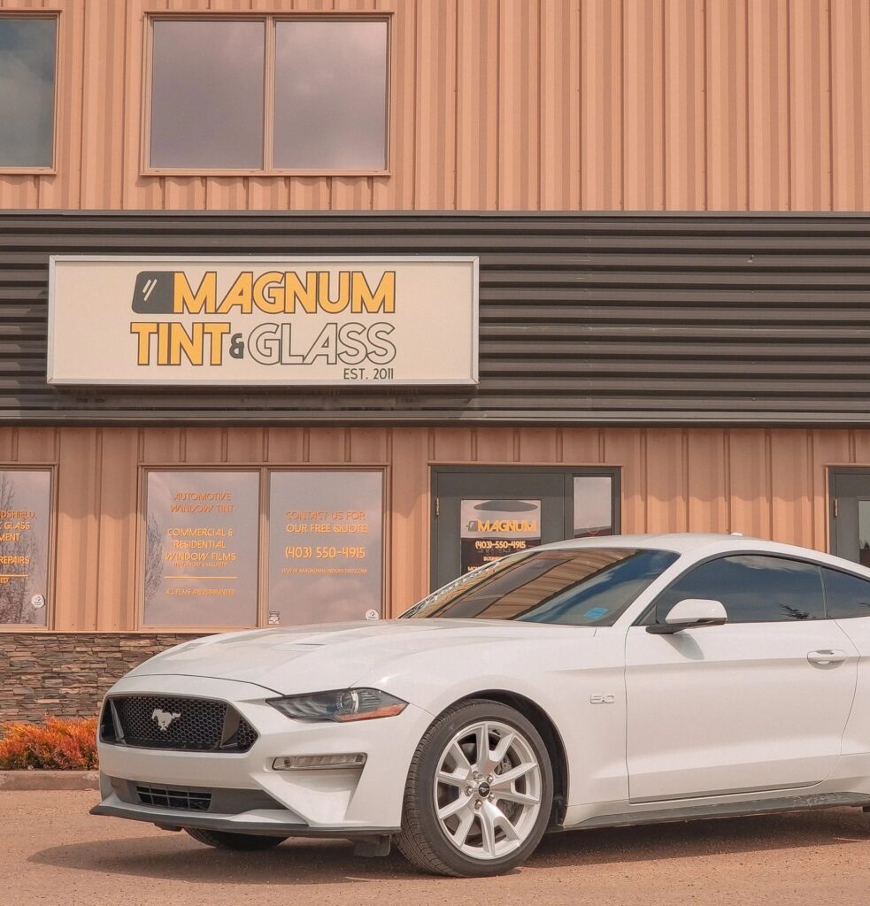 Red Deer shop for window tint, auto, and tires